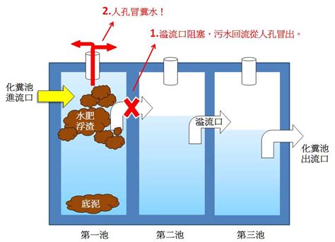 化糞池在哪|【化糞池 位置】化糞池位置大解密！教你一招快速找出自家化糞。